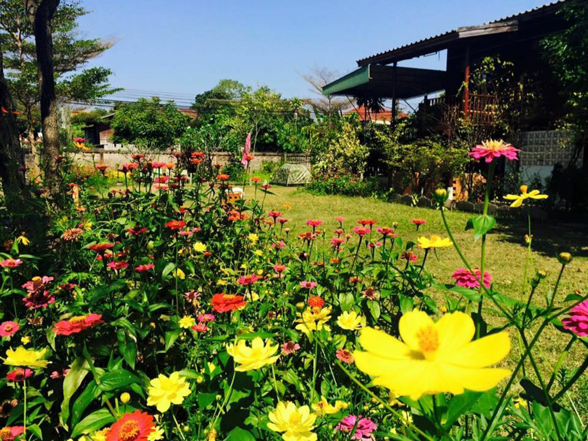 Diamond Homestay Nan Exterior foto